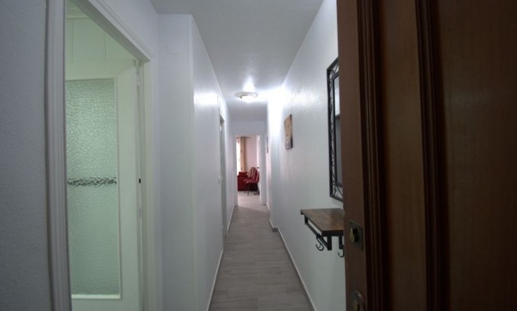 Revente - Appartement - Torrevieja - torrevieja