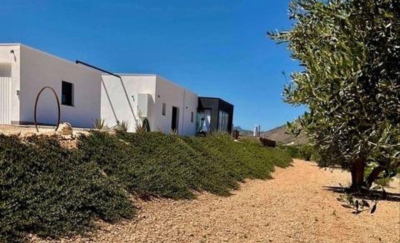 Nieuwbouw woningen - Villa - Jumilla - Torre del Rico