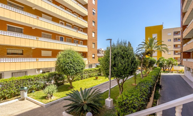 Revente - Appartement - Punta Prima