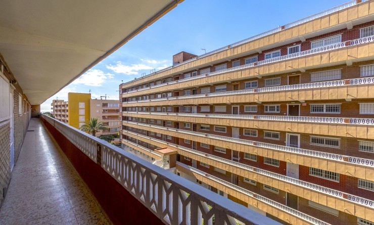 Revente - Appartement - Punta Prima