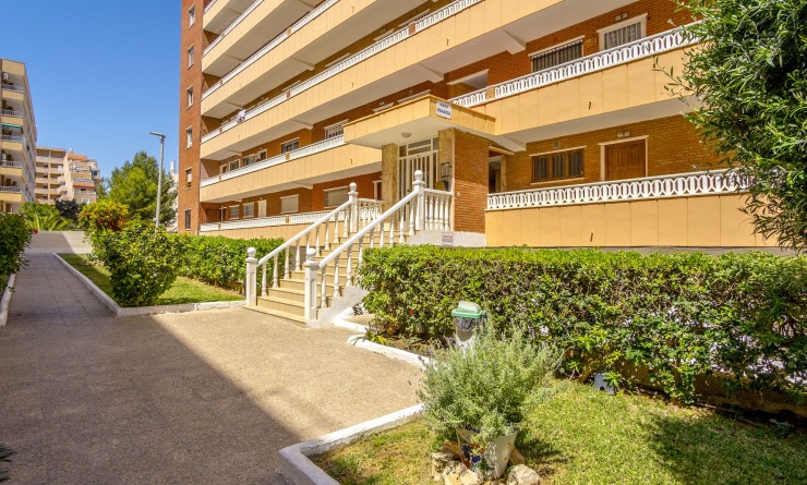 Revente - Appartement - Punta Prima