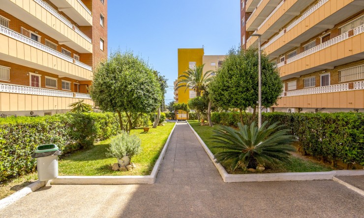 Revente - Appartement - Punta Prima