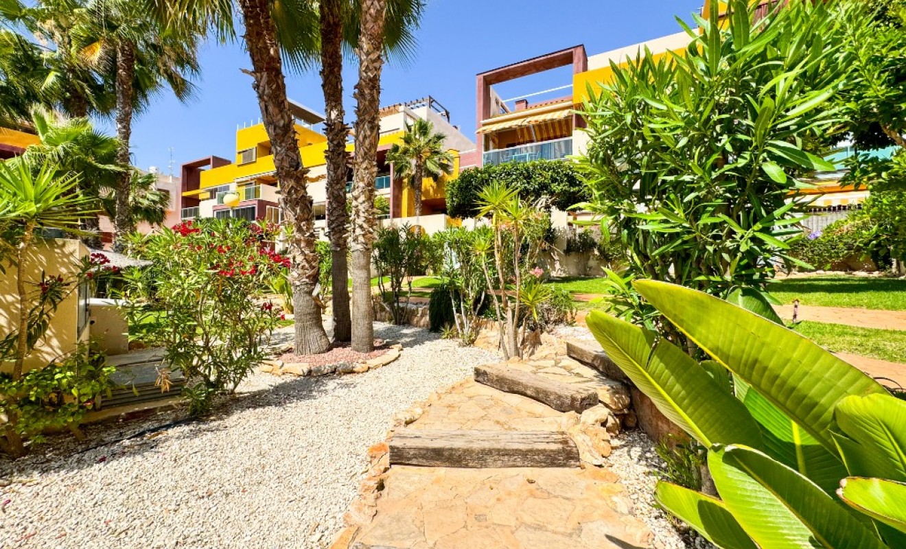 Wederverkoop - Appartement - Playa Flamenca