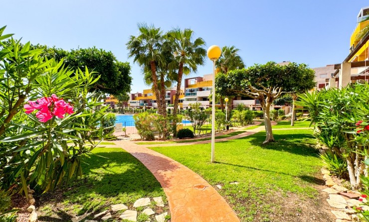 Wederverkoop - Appartement - Playa Flamenca