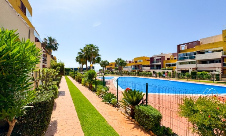 Wederverkoop - Appartement - Playa Flamenca