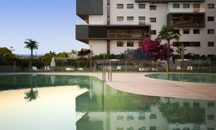 Nieuwbouw woningen - Penthouse - Orihuela Costa - Campoamor