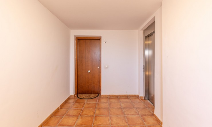 Wederverkoop - Penthouse - Punta Prima - La Recoleta