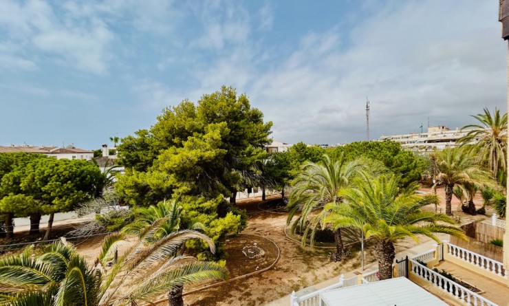 Wederverkoop - Appartement - Torrevieja - Punta prima