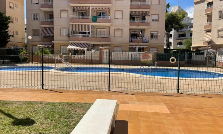 Wederverkoop - Appartement - Torrevieja - torrevieja