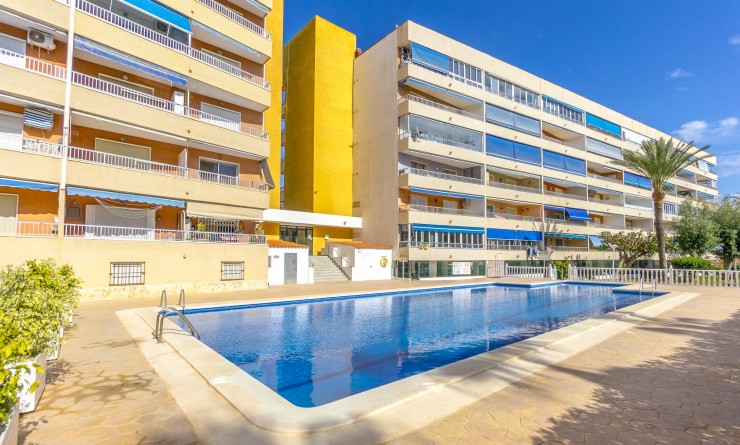 Wederverkoop - Appartement - Punta Prima - El Acequión