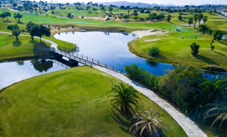 Nieuwbouw woningen - Villa - Orihuela - Vistabella Golf