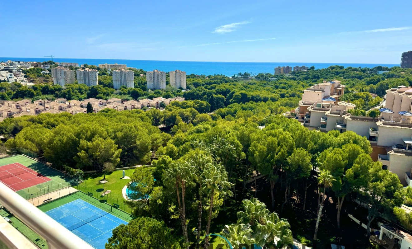 Sale - Apartment - Orihuela Costa - Campoamor