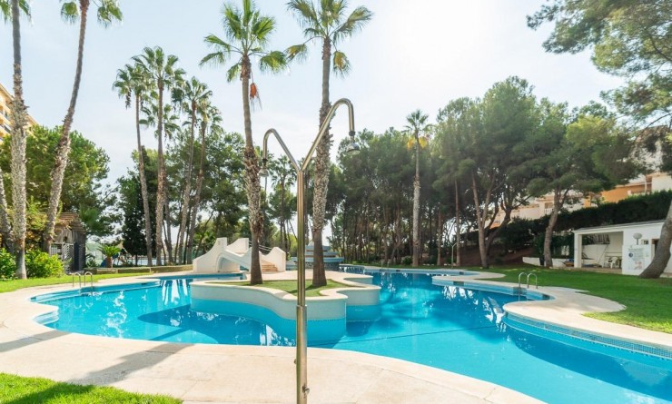 Wederverkoop - Appartement - Orihuela Costa - Campoamor