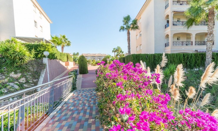 Sale - Ground Floor - Orihuela Costa - Playa Flamenca