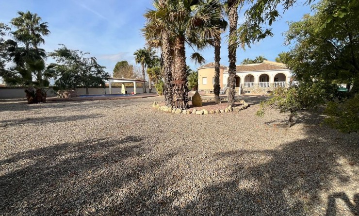 Sale - Villa - Catral