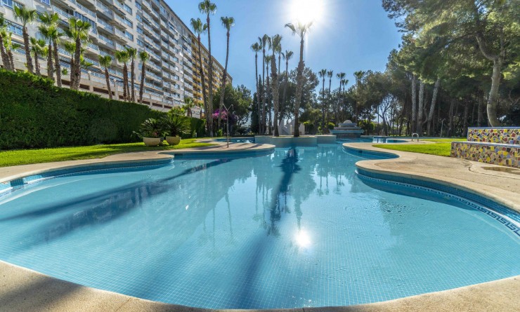 Sale - Apartment - Orihuela Costa - Campoamor