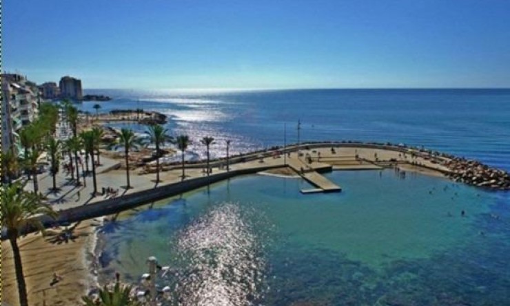 Nieuwbouw woningen - Penthouse - Torrevieja - Playa del Cura