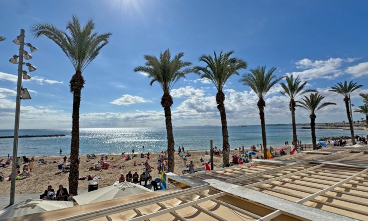 Revente - Appartement - Torrevieja - Playa del Cura