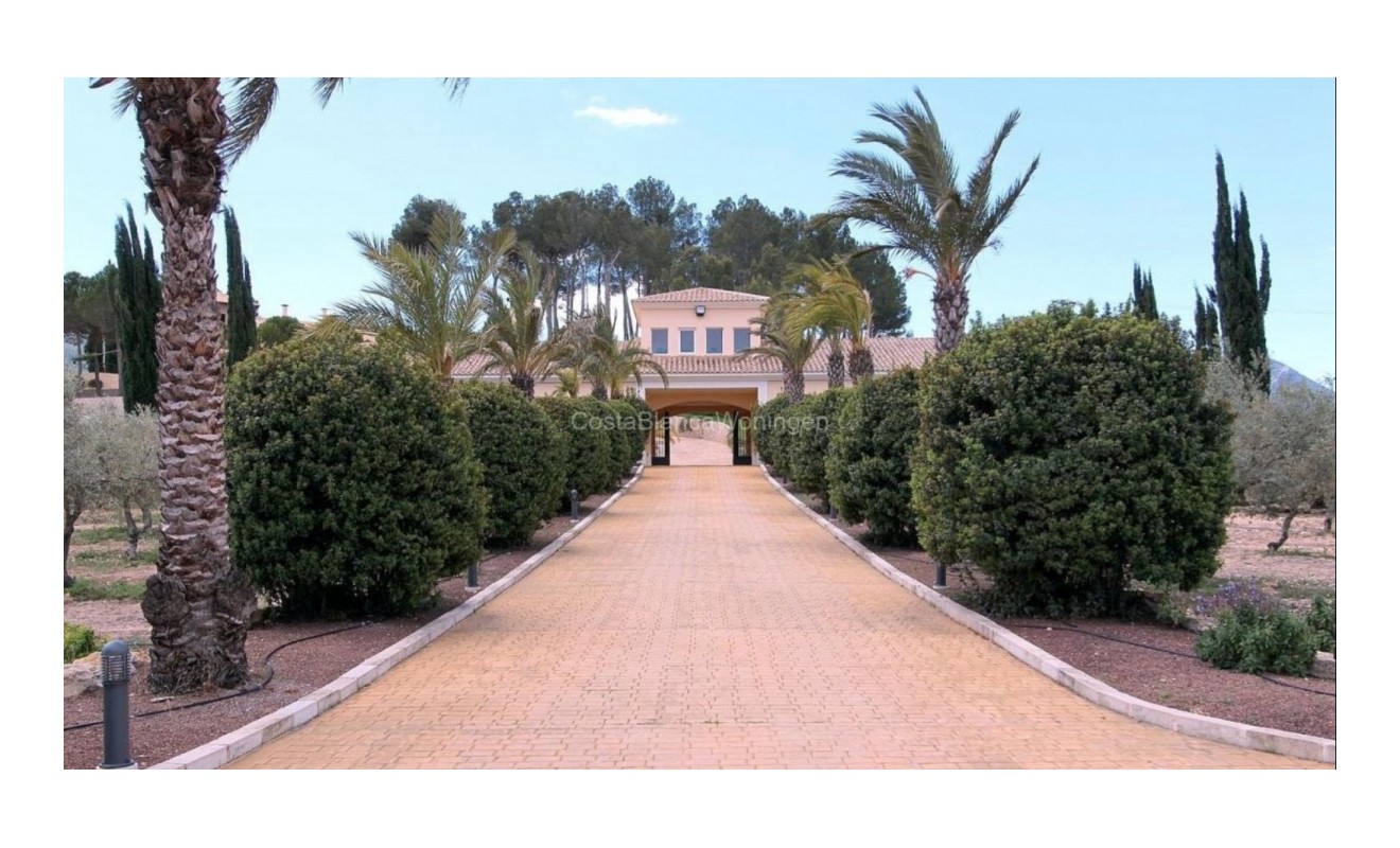 Sale - Villa - Penàguila