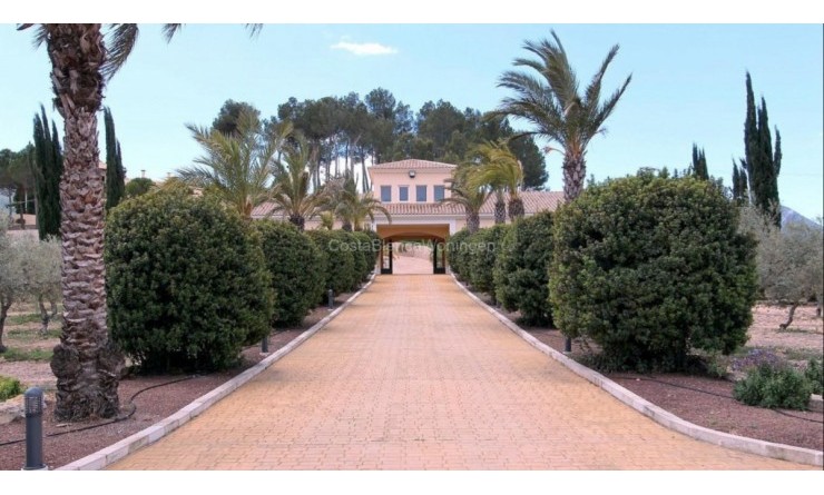Sale - Villa - Penàguila