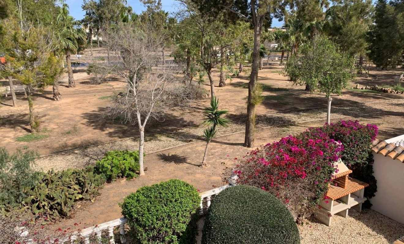 Sale - Detached House / Villa - Guardamar del Segura - Guardamar - El Raso