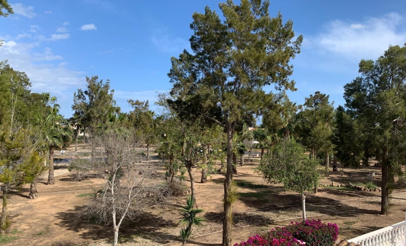 Sale - Detached House / Villa - Guardamar del Segura - Guardamar - El Raso