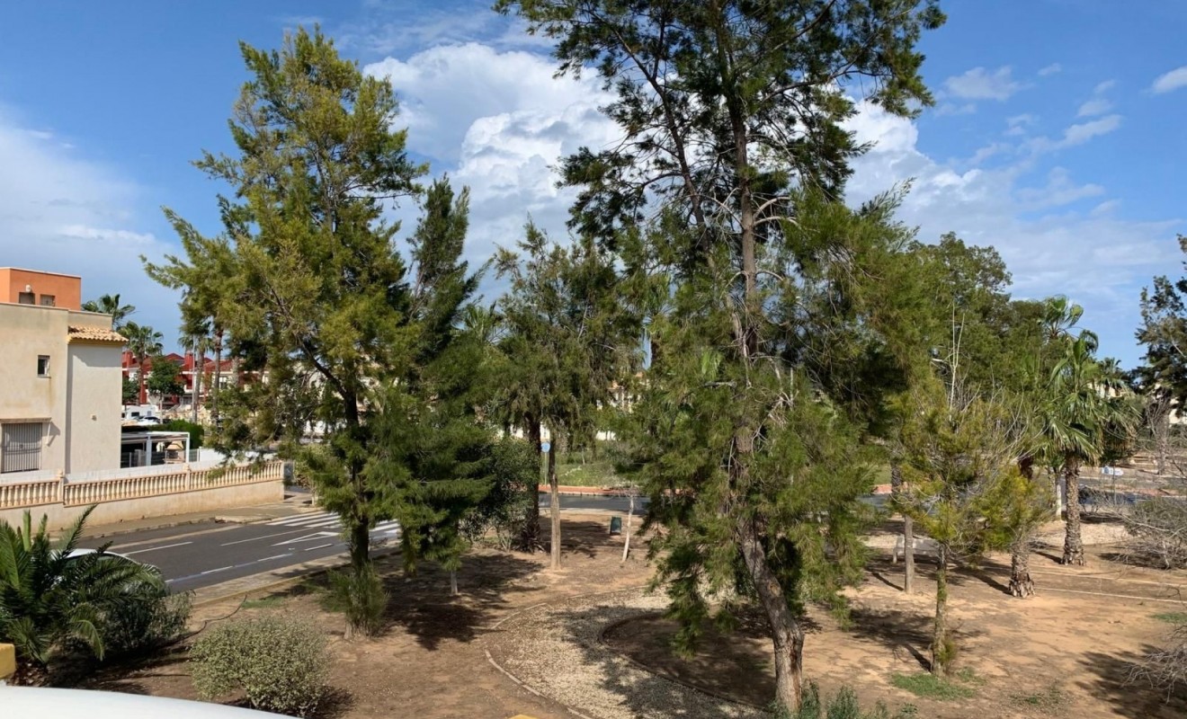 Sale - Detached House / Villa - Guardamar del Segura - Guardamar - El Raso