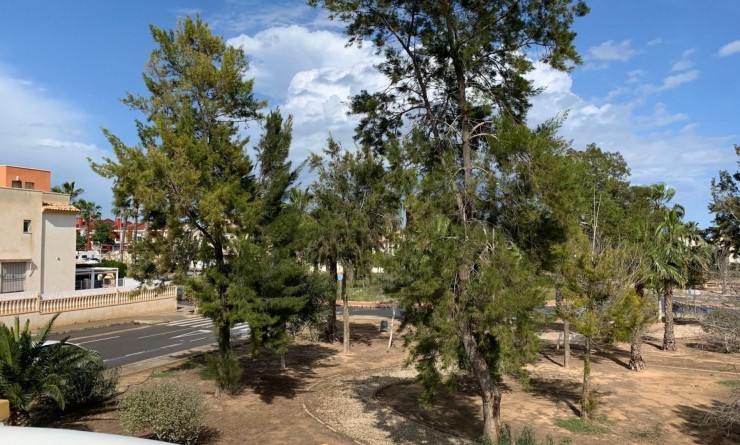 Sale - Detached House / Villa - Guardamar del Segura - Guardamar - El Raso