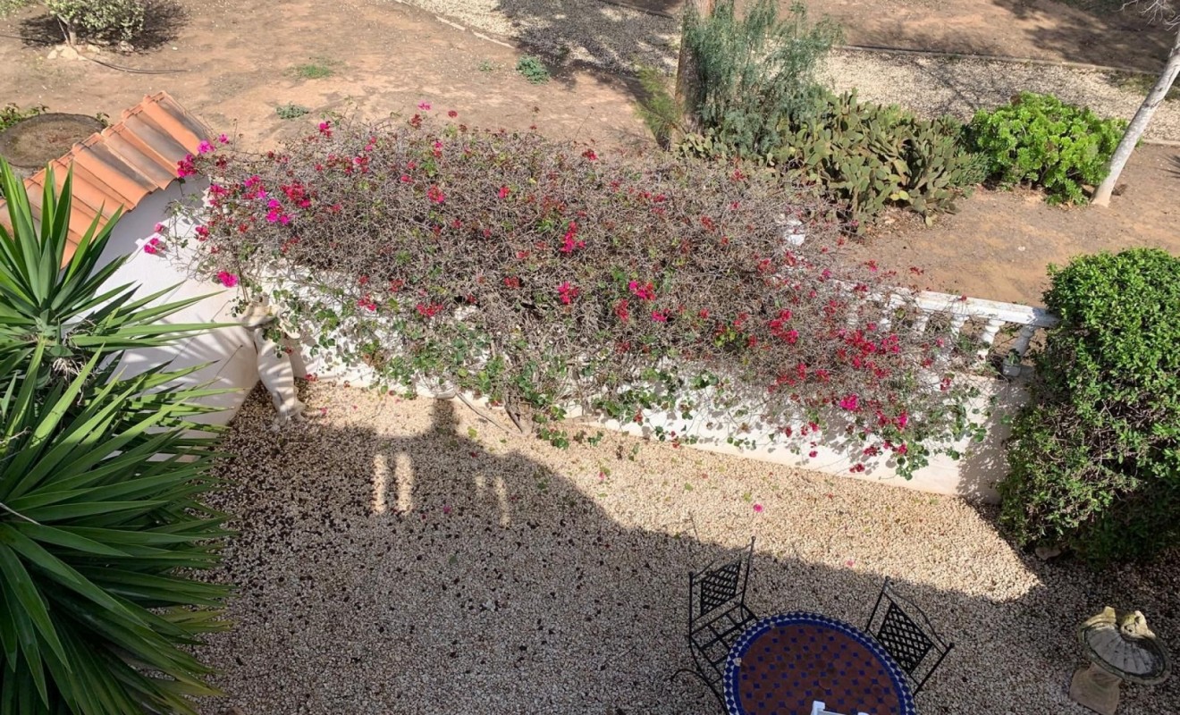 Sale - Detached House / Villa - Guardamar del Segura - Guardamar - El Raso