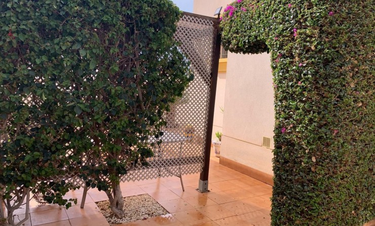 Sale - Detached House / Villa - Guardamar del Segura - Guardamar - El Raso