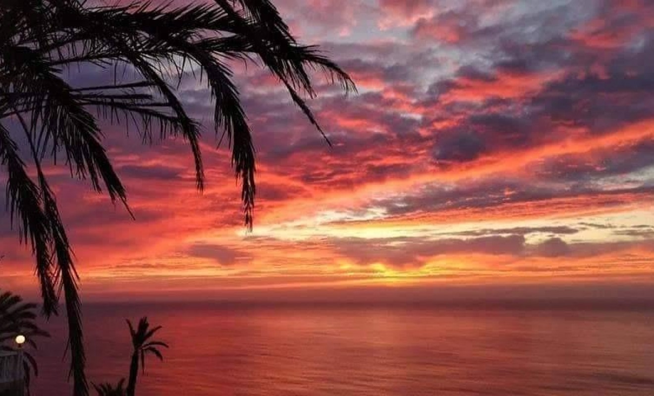 Nieuwbouw woningen - Bungalow - Torrevieja - Altos del Sol