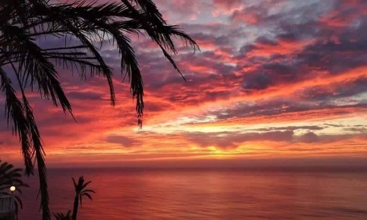 Nieuwbouw woningen - Bungalow - Torrevieja - Altos del Sol