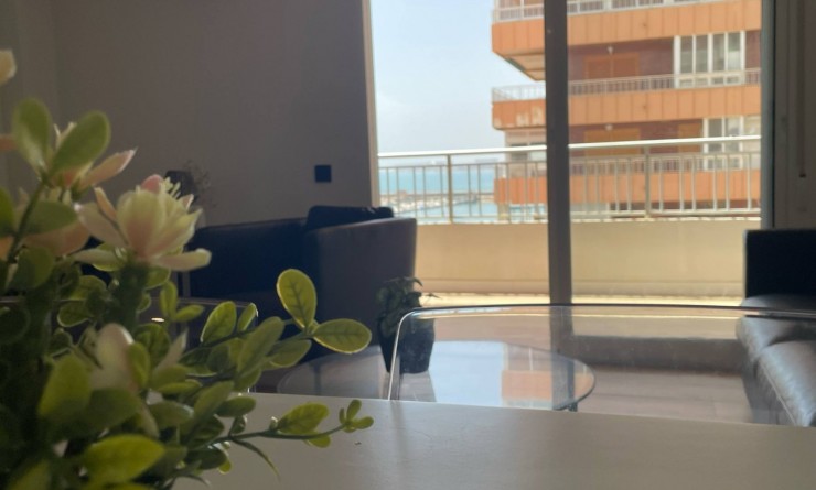 Revente - 1. Apartment / flat - Torrevieja - torrevieja