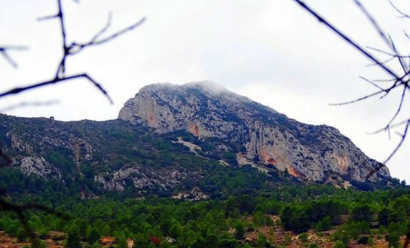 Nieuwbouw woningen - Villa - La Romana - Batistes