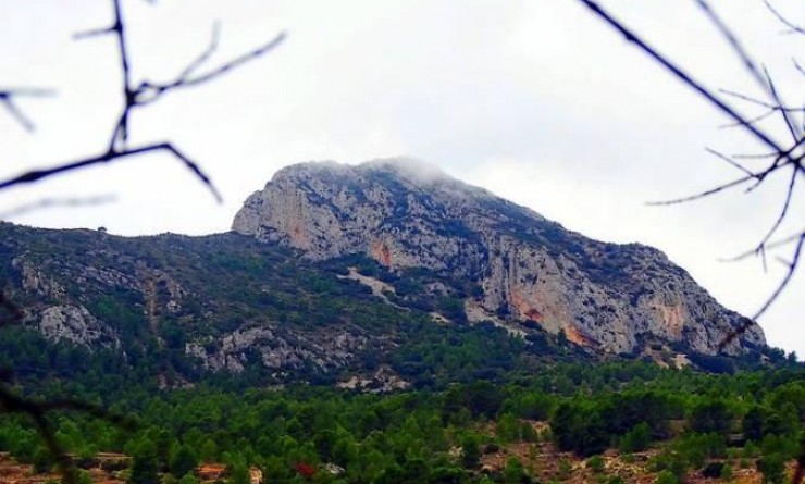 Nieuwbouw woningen - Villa - La Romana - Batistes