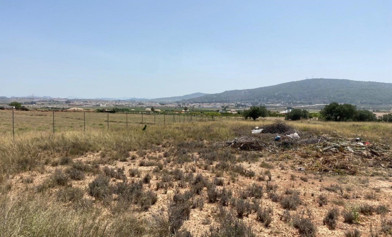 New Build - Villa - Pinoso - Camino Del Prado