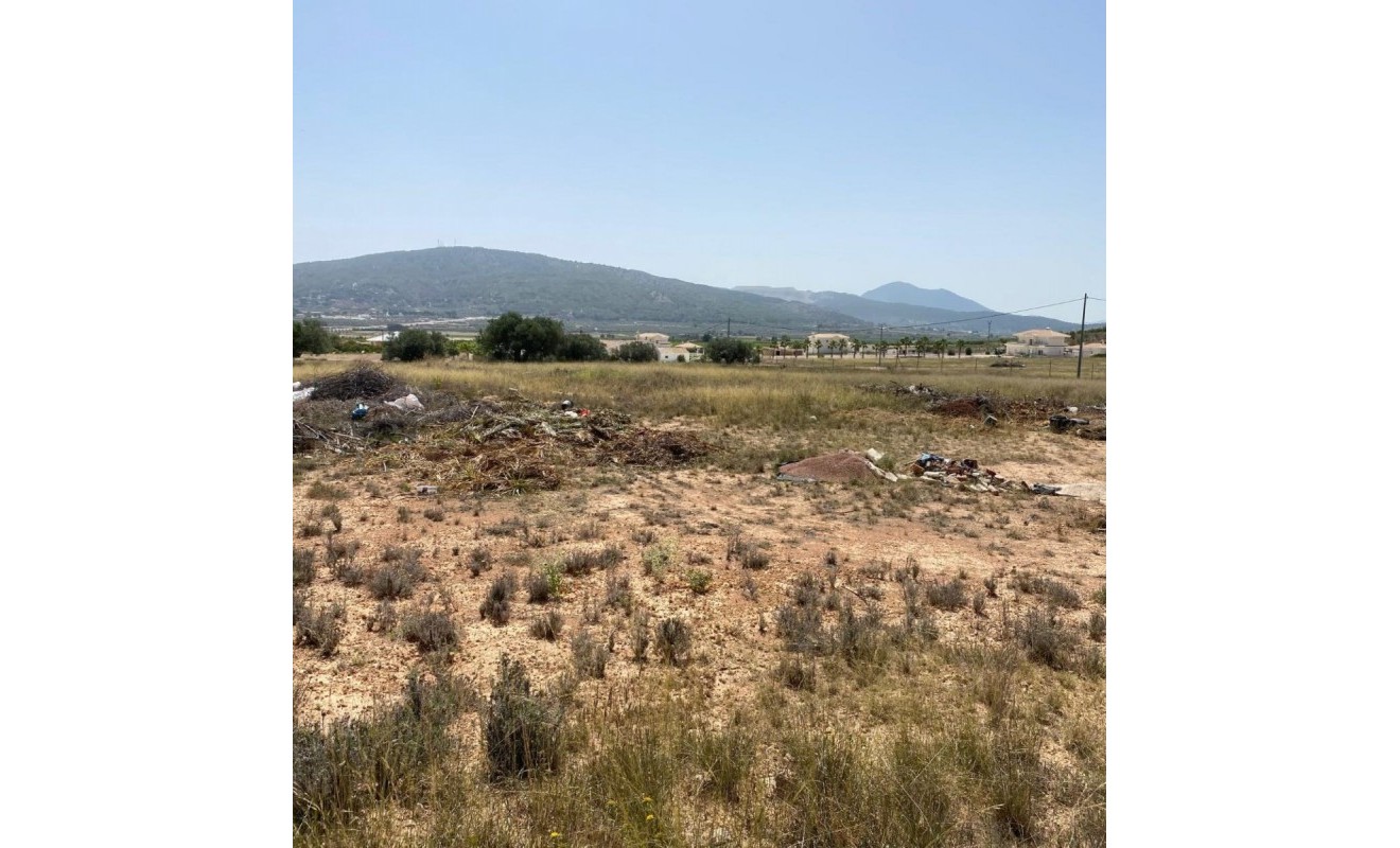 New Build - Villa - Pinoso - Camino Del Prado