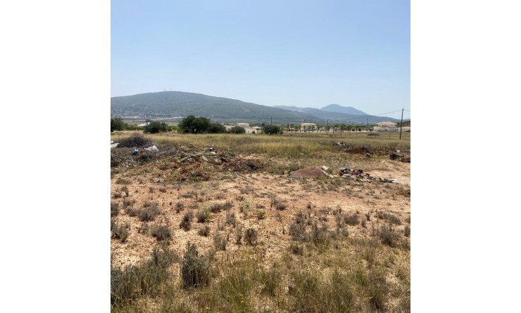 New Build - Villa - Pinoso - Camino Del Prado