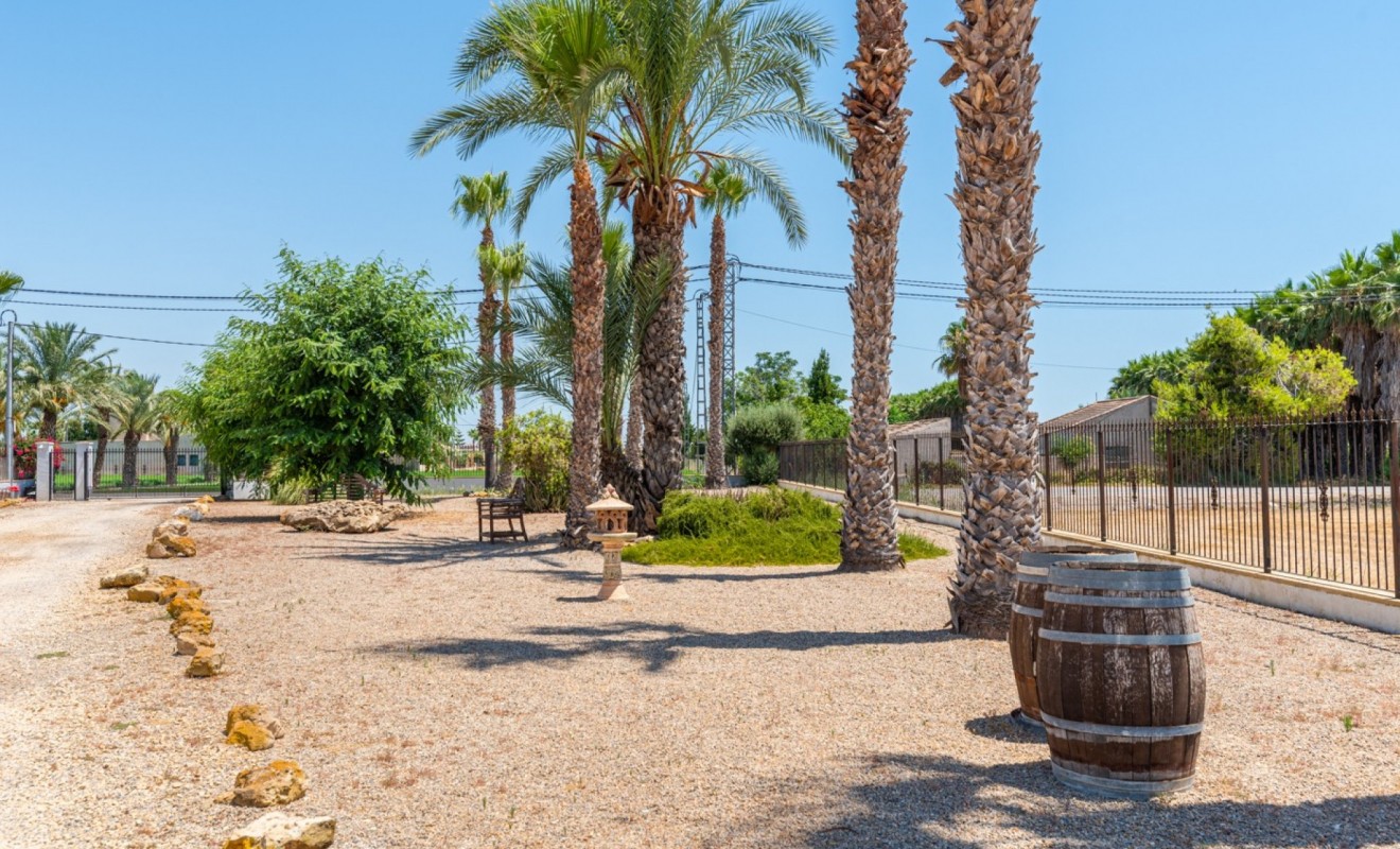 Sale - Country Property - Catral