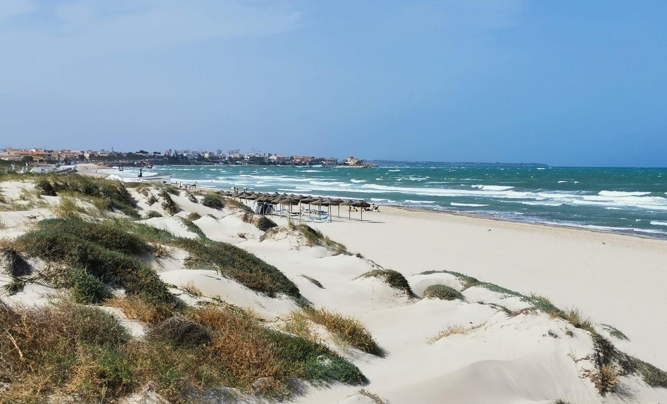 Nouvelle construction - Villa - Pilar de la Horadada