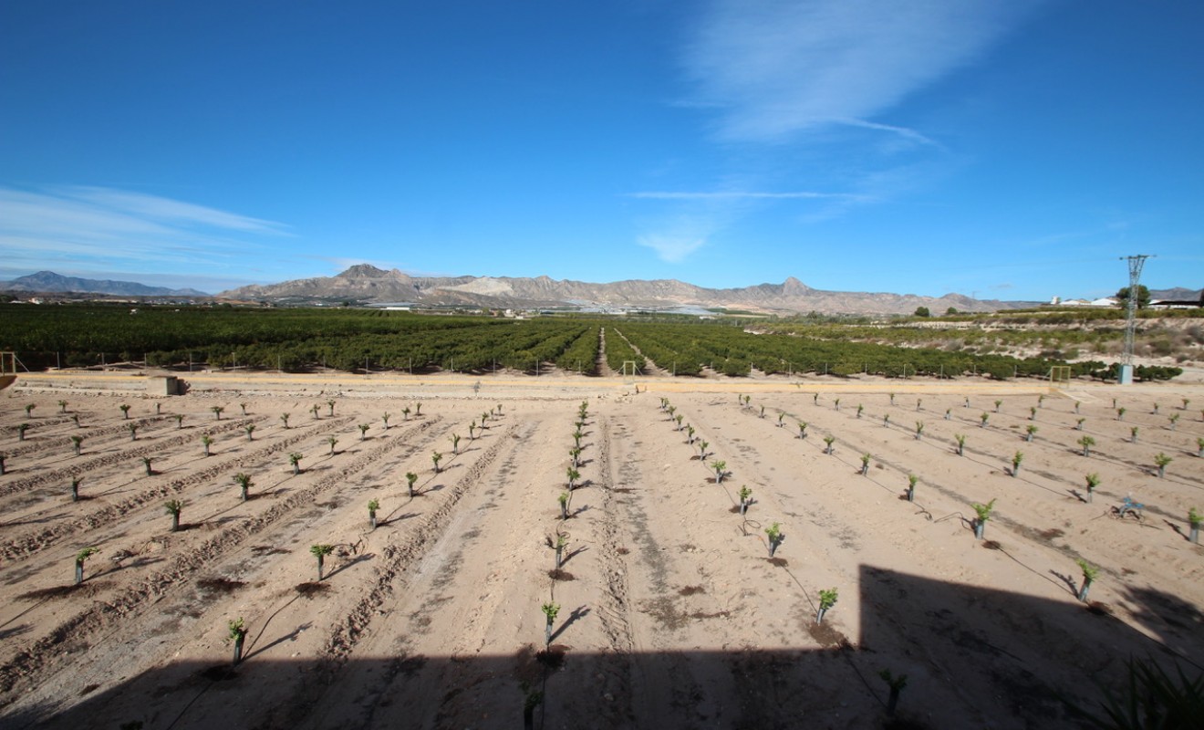 Wederverkoop - Finca - Murcia - Costa Blanca Sur
