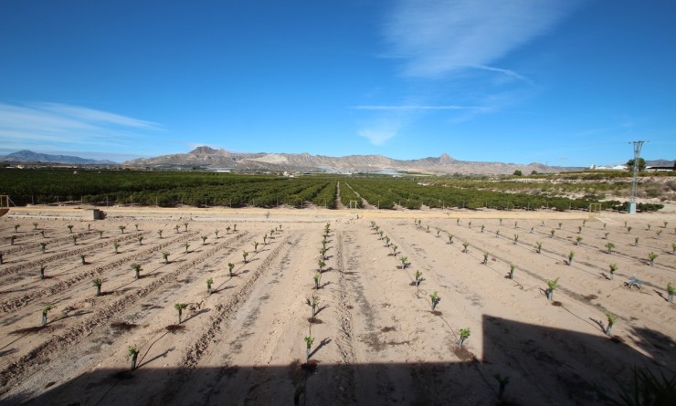 Wederverkoop - Finca - Murcia - Costa Blanca Sur