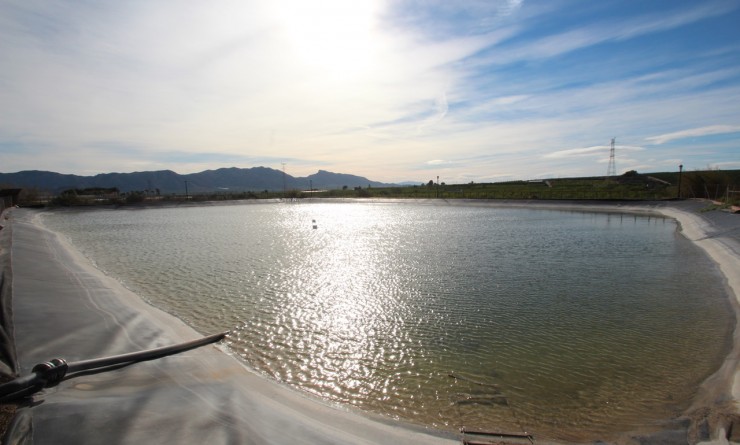 Wederverkoop - Finca - Murcia - Costa Blanca Sur