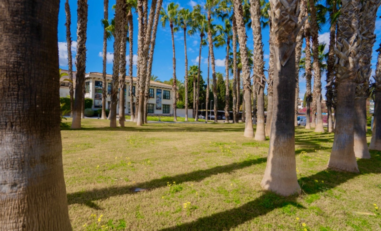 Sale - Apartment - Orihuela - Costa Blanca Sur