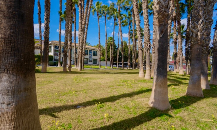 Sale - Apartment - Orihuela - Costa Blanca Sur