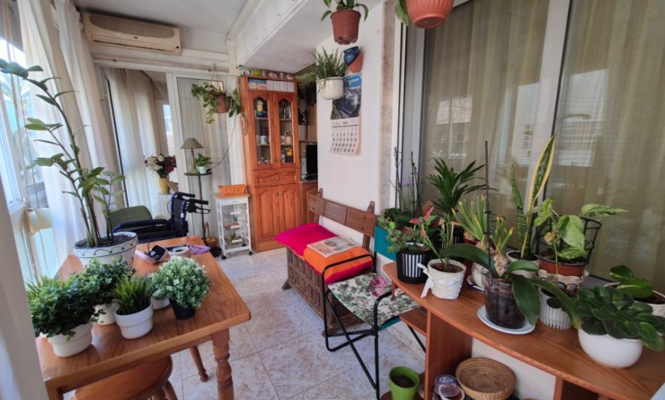 Wederverkoop - Appartement - Torrevieja - Costa Blanca Sur