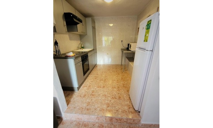 Wederverkoop - detached_house - Torrevieja - Costa Blanca Sur