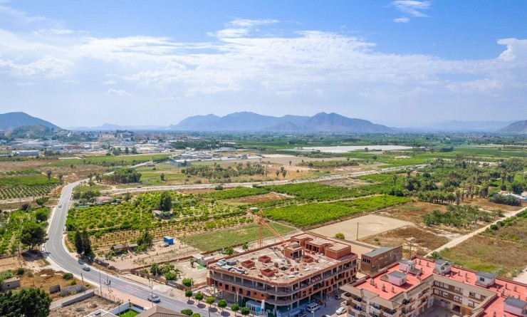 Nouvelle construction - Attique - Jacarilla - Comunidad Valenciana