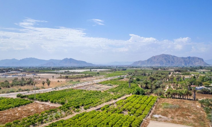 Nieuwbouw woningen - Appartement - Jacarilla - Comunidad Valenciana