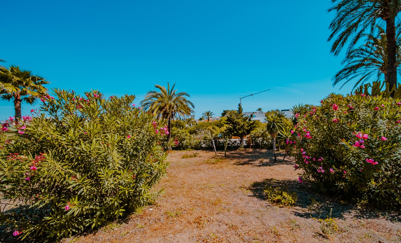 Wederverkoop - Villa - Orihuela Costa - Playa Flamenca